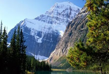 蒙古球队在亚洲杯赛场上积累经验